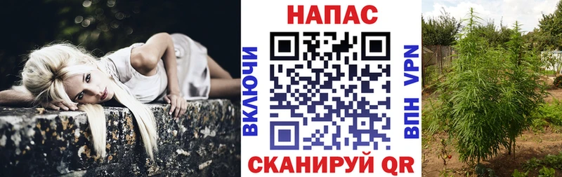 Купить наркотики цена Семилуки ГАШИШ  COCAIN  КЕТАМИН  Канабис  Меф 