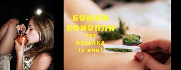 ГАЛЛЮЦИНОГЕННЫЕ ГРИБЫ Баксан