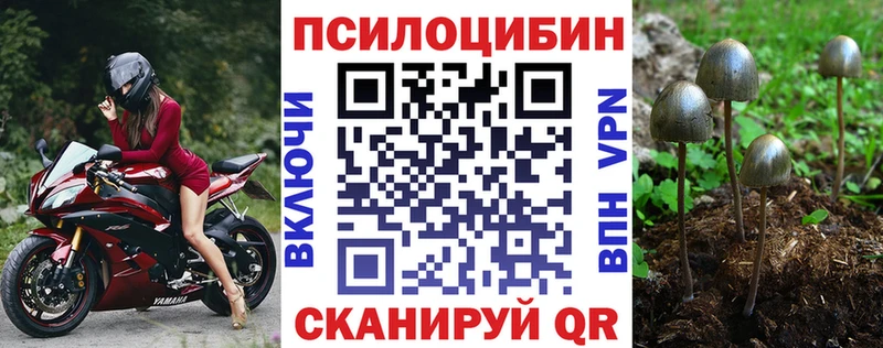 blacksprut ссылка  купить наркотики цена  Семилуки  мориарти телеграм  Псилоцибиновые грибы GOLDEN TEACHER 